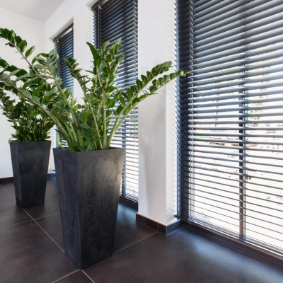 Zwarte blinds in urban jungle interieur