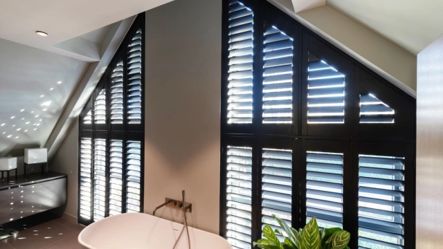 Zwarte Van Eyck shutters